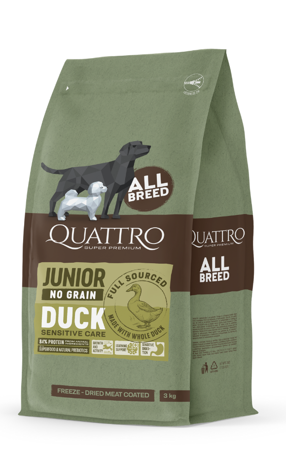Junior all breed with duck