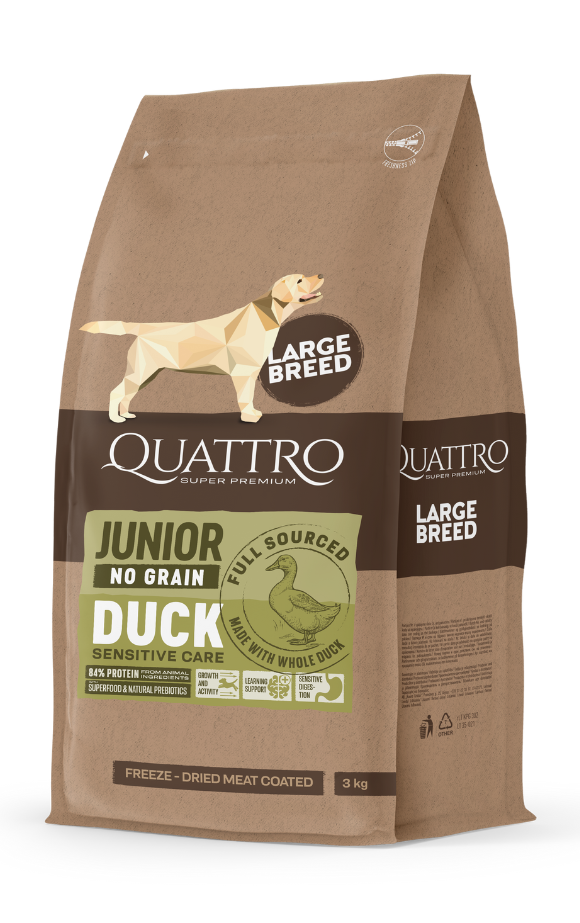Junior large breed with duck